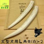 大型犬用鹿の角Lサイズ角先白2本セ...