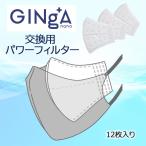 GINgA nano マスク スカー
