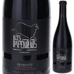 モルゴン コート デュ ピィ ジャヴェルニエール レザンペニタン 2022 ドメーヌ ルイ クロード デヴィーニュ 750ｍｌ  赤  送料無料