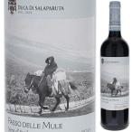 パッソ デッレ ムーレ 2022 ドゥーカ ディ サラパルータ 750ｍｌ  赤  よりどり6本から送料無料
