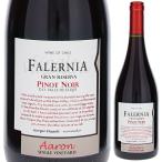 ピノ ノワール グラン レセルバ アーロン ティトン シングル ヴィンヤード 2021 ビーニャ ファレルニア 750ｍｌ  赤  よりどり6本から送料無料