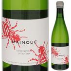 マイケ シャルドネ 2024 ボデガ チャ�