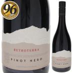  retro tela Pinot ne-ro2024pojorevorupi750ml красный ....6шт.@ из бесплатная доставка 