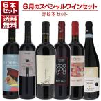1本あたり2750円！6月のスペシャルワ