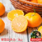  мандарин Yoshida мандарин 5kg f.5 для бытового использования Ehime Yoshida фрукты фрукты ..mi can меласса . есть перевод бесплатная доставка 