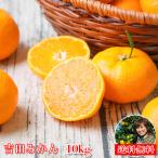みかん 吉田みかん 10kg f吉10 家庭用 大玉 愛媛 吉田 果物 フルーツ 柑橘 ミカン 蜜柑 訳あり 送料無料