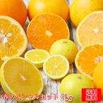 (f春スぺ 07) 春スペシャルセット7kg (甘平・せとか・ネーブル・ブラッドオレンジ(モロ)・黄金柑・ひめぽん・黄清見を各1kg入)(枝傷等有り)(家庭用・サイズ込)