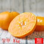 ショッピング甘平 (f甘 05) 甘平 5kg (多少の枝傷・葉傷・黒点有り)(家庭用・サイズ込み)(送料無料)みかん ミカン 吉田みかん 甘平