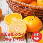 みかん　大玉吉田みかん　１０ｋｇ　大玉ｆ吉１０（L〜3L）　家庭用　愛媛　吉田　果物　フルーツ　柑橘　ミカン　蜜柑　　訳あり　送料無料