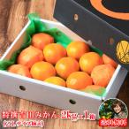 ショッピングみかん みかん　特撰　吉田みかん　２ｋｇ　特撰０２　贈答用　精品　中玉　２Ｌサイズ揃えで１３玉前後　化粧箱入　特撰包装　フルーツ　果物　柑橘　お歳暮