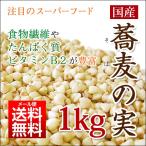 (9月中旬以降発送)国産 そばの実 1kg 北海道産 ソバの実