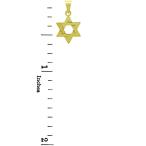 Jewish Jewelry by FDJ 14k Gold Jewish Star of David Pendant