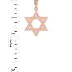 Solid 10k Rose Gold Traditional Jewish Star of David Charm Pendant Nec