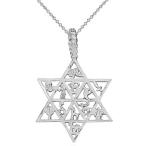 Jewish Star of David Charm 12 Tribes of Israel Pendant Necklace (22" C