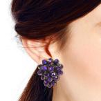 Royal Forest Purple Fashion Crystal Grape Base Metal Clip On Earrings