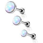 Forbidden Body Jewelry 3-Pack: 16g Surgical Steel Synthetic White Opal