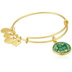 Alex and Ani Charity By Design, Be Brave EWB Shiny Gold Bangle Bracele