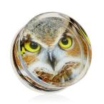 Owl Print Encased Clear Acrylic WildKlass Saddle Fit Plug (Sold as a P