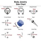 Inspiration Dezigns Rose Gold Eyebrow Ring Belly Ring Clear Heart CZ P