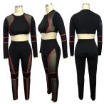 Womens Sexy 2 Piece Outfits Club Jumpsuit Long Sleeve Crop Top Pants S