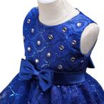 dressfan Princess Party Wedding Embroidered Tulle Dresses Flower Girls