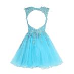 Homecoming Dress Short Cocktail Dress Lace Homecoming Dresses Tulle Ap