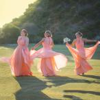 Bridesmaid Dresses Long Prom Dress Chiffon Halter Evening Gowns Pleat