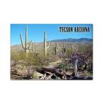 Tucson Arizona Saguaro Cactus Fridge Magnet by Classical Creations
