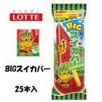  Lotte лёд BIG acid покрытие 125ml×25 шт щербет бесплатная доставка ( Hokkaido * Kyushu. за исключением Okinawa * отдаленный остров отправка не возможно )