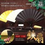 扇子 鉄扇 護身扇 ファン うちわ 一尺 ブラック 黒鉄扇 金鉄扇 白鉄扇 重厚感 鉄扇子 護身 持ち歩き 人気 贈り物 TSEN-30-BK