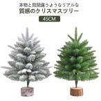 クリスマスツリー 卓上 45cm 小型 ミニ ミニツリー 北欧 クリスマス飾り テーブルツリー 棚上 小さい ミニツリー 玄関 モミの木 ヌードツリー