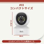 防犯カメラ ネットワークカメラ WiFi パソコン PC適応 動体検知 音声録画追跡 スマホで見る 屋内 ベビーモニター 子供高齢者介護ペット見守り監視 Vstarcam Eye4