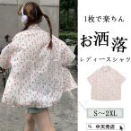 シャツブラウス半袖プリント兎柄総柄...