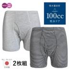 Yahoo! Yahoo!ショッピング(ヤフー ショッピング)尿漏れパンツ 男性用 失禁パンツ 紳士 メンズ 日本製 前開き トランクス ボーダー柄 100cc M L LL グレー ブラック 抗菌消臭 頻尿 吸水 2枚組