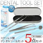 ske-la-5 шт. комплект уход за зубами зуб собственный уход уход за полостью рта здоровье из нержавеющей стали с футляром День почитания пожилых людей бесплатная доставка 3M* уход за зубами комплект DL