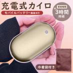 モバイルバッテリー 充電式カイロ 防寒 スマホ 充電器 電気ポケットカイロ 3段階 温度調節 コンパクト 軽量 携帯 繰り返し ケース 送料無料 60N◇ ポケホット