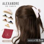ショッピングドゥ アレクサンドルドゥパリ ALEXANDRE DE PARIS ICCL-12832-02 ヘアーアクセサリー レディース アクセサリー  VENDOME CLIP Lサイズ PINCES HAIRCLIP 10.5c 爆買