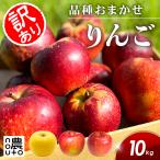 ショッピングりんご 【3営業日以内発送】 りんご 訳あり 長野県産 家庭用 10kg 45〜60玉 品種おまかせ 甘い シャキシャキ 食感 フルーツ サンふじ 秋映 シナノスイート 果物 規格外