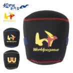  world Pegasus бейсбол перчатка pillow перчатка хранение гарантия форма перчатка type установка товары товары для техобслуживания перчатка уход сопутствующие товары WORLDPEGASUS WEAC6GP