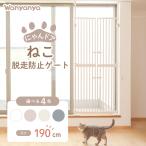 猫-商品画像