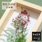  box рама 35 цельный сумма шкаф 130×180 фотография .2L свадебный миниатюра fi механизм образец цветок организовать 