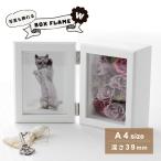 立体額 ボックスフレームダブル　A4（卓上用）写真立て フォトフレーム プリザーブドフラワー アーティフィシャルフラワー 花 おしゃれ 母の日 ウェルカムボード