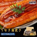 ＼最安値に挑戦／うなぎ 蒲焼き 鰻 ウナギ 2尾 化粧箱入り タレ 4個 山椒付き 食べ方解説書付き 中国産 ”特大うなぎ蒲焼2尾入り”