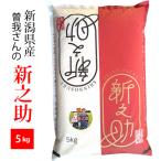 大粒でしっかりとした粘りと旨味が人気のお米です　新潟産 新之助 令和7年産 1等米 精米5kg 曽我さんの新之助※北海道・九州400円、沖縄他離島1,800円割増