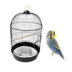  bird круг форма bird клетка руль имеется steel закрытый клетка для птиц птица маленький магазин много голова .. птица клетка bird pa отсутствует 