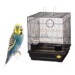 ma LUKA n bird pa отсутствует King 