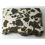 ¥¤¥ß¥é¥Ã¥¯¡¦¥Ñ¥é¥µ¥¤¥È¡¡ÀÐÅ´ð¨ÀС¡125.6g¡¡Imilac Pallasite Meteorite
