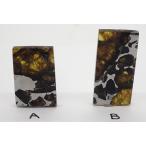 【通販限定】イミラック・パラサイト  約