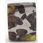 【通販限定】イミラック・パラサイト  5