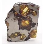 【通販限定】イミラック・パラサイト  5